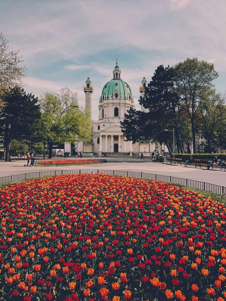 Flowers in front of a building